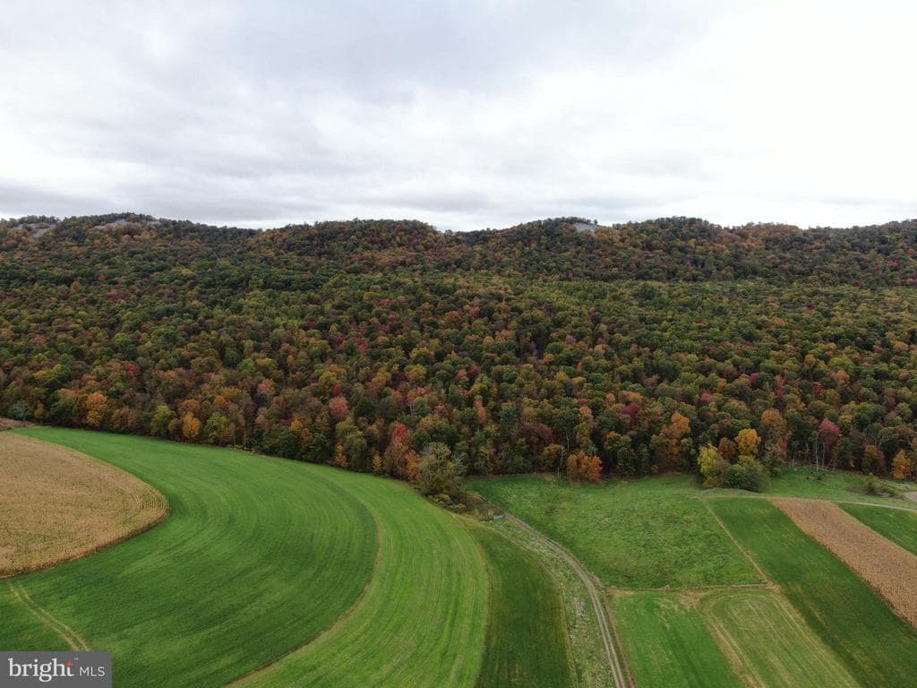 Property photo #10 for 234.5+/- Acres  across from 21951 Tannery Rd, Shade Gap, PA 17255