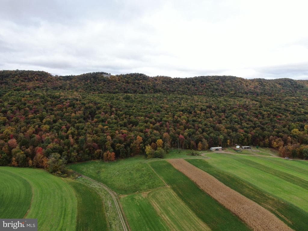 Property photo #11 for 234.5+/- Acres  across from 21951 Tannery Rd, Shade Gap, PA 17255