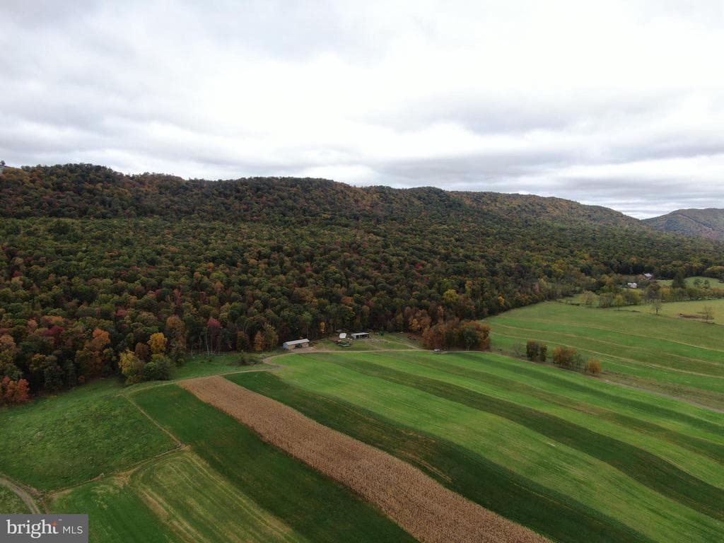 Property photo #12 for 234.5+/- Acres  across from 21951 Tannery Rd, Shade Gap, PA 17255