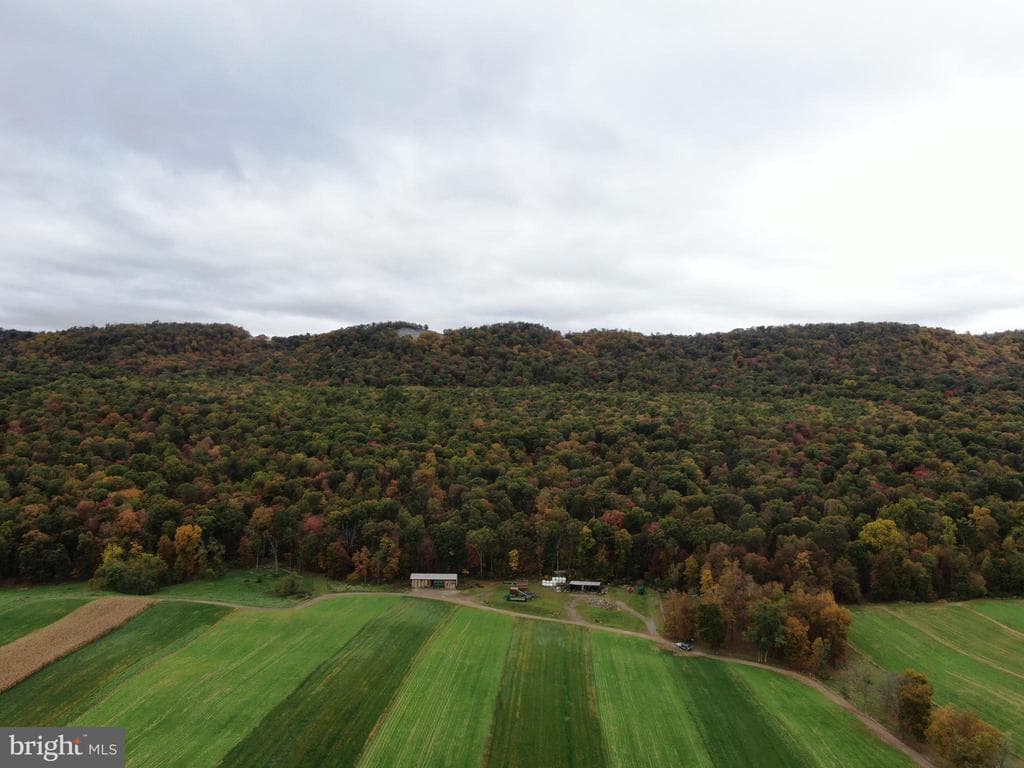 Property photo #14 for 234.5+/- Acres  across from 21951 Tannery Rd, Shade Gap, PA 17255