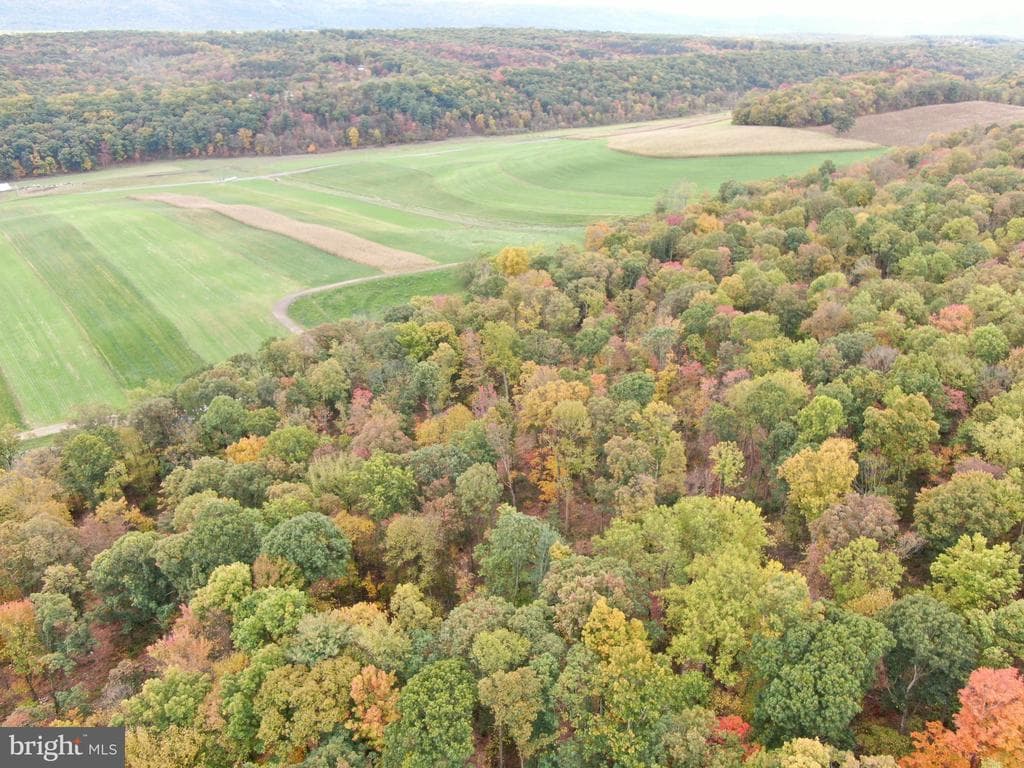 Property photo #19 for 234.5+/- Acres  across from 21951 Tannery Rd, Shade Gap, PA 17255