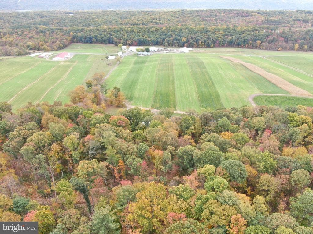 Property photo #20 for 234.5+/- Acres  across from 21951 Tannery Rd, Shade Gap, PA 17255