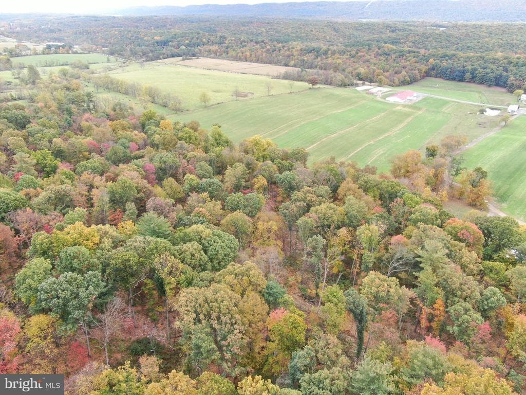 Property photo #21 for 234.5+/- Acres  across from 21951 Tannery Rd, Shade Gap, PA 17255