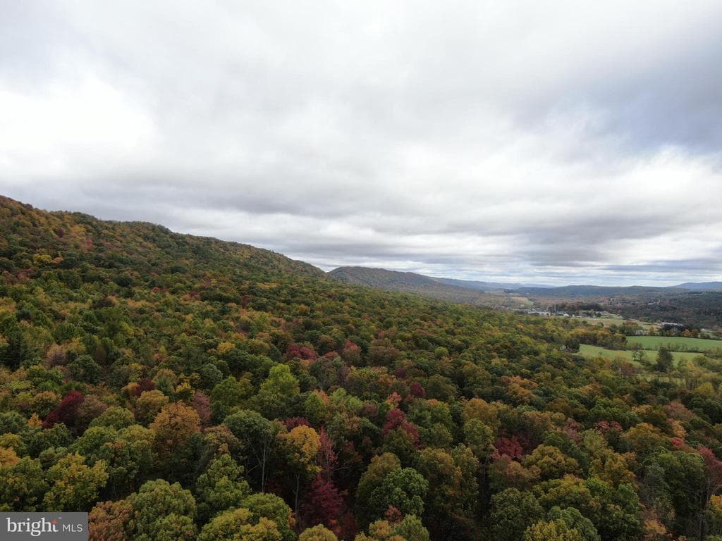 Property photo #22 for 234.5+/- Acres  across from 21951 Tannery Rd, Shade Gap, PA 17255