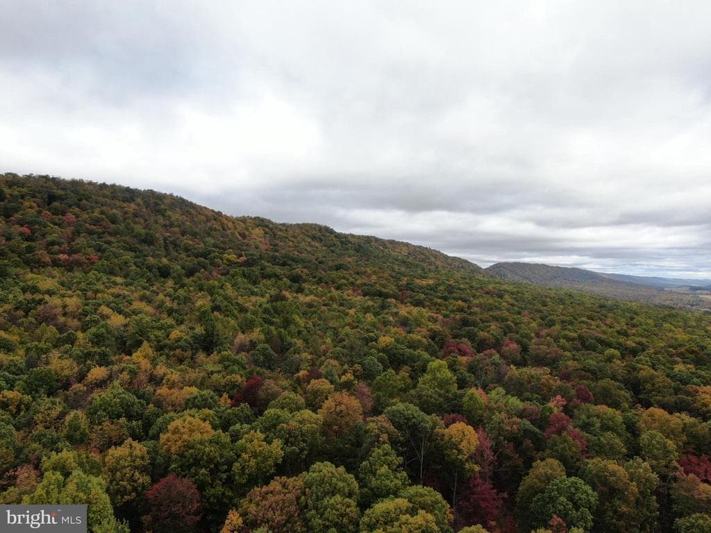 Property photo #23 for 234.5+/- Acres  across from 21951 Tannery Rd, Shade Gap, PA 17255