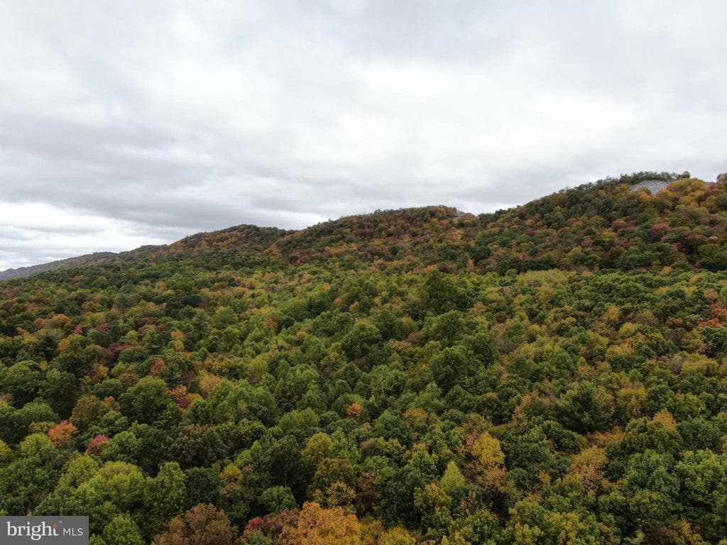 Property photo #26 for 234.5+/- Acres  across from 21951 Tannery Rd, Shade Gap, PA 17255