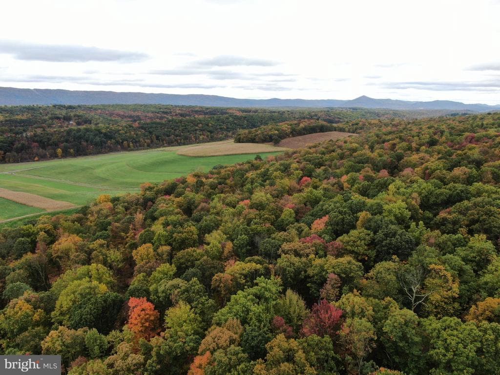 Property photo #27 for 234.5+/- Acres  across from 21951 Tannery Rd, Shade Gap, PA 17255