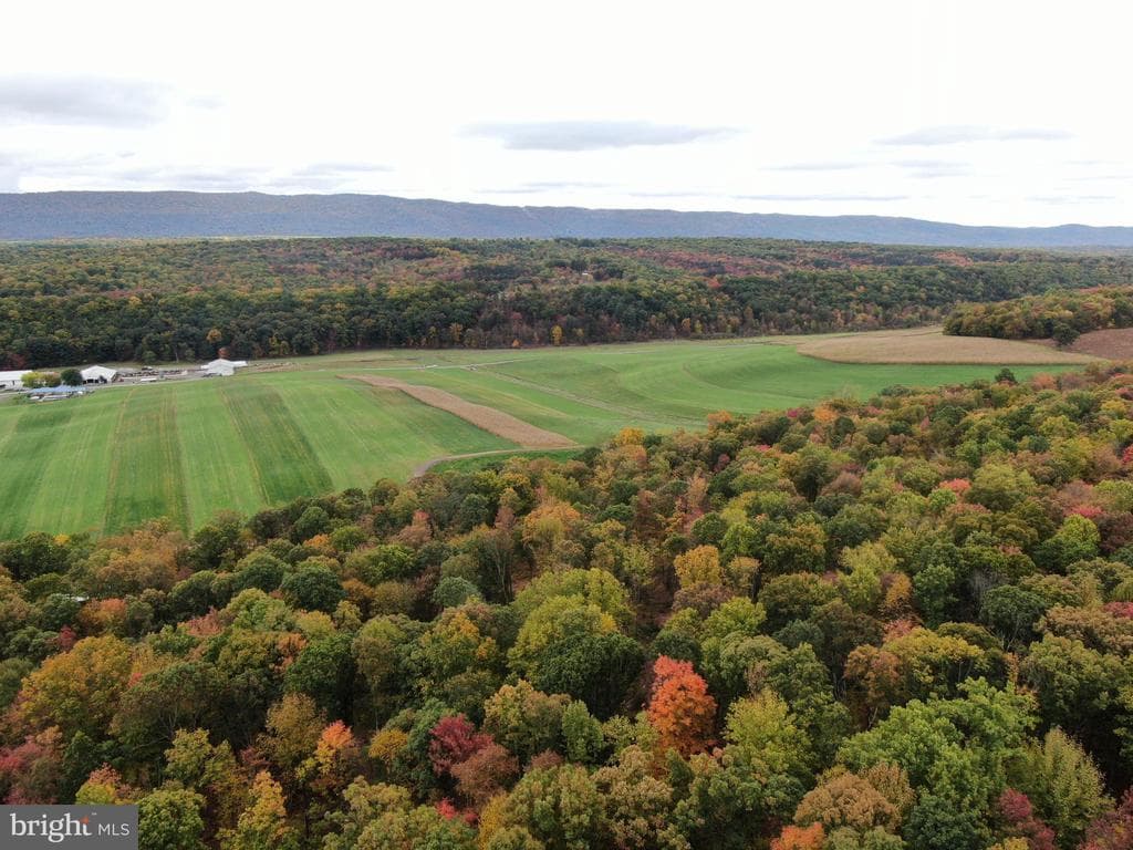 Property photo #28 for 234.5+/- Acres  across from 21951 Tannery Rd, Shade Gap, PA 17255