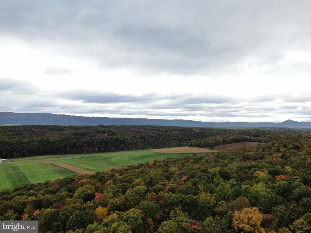 Property photo #29 for 234.5+/- Acres  across from 21951 Tannery Rd, Shade Gap, PA 17255