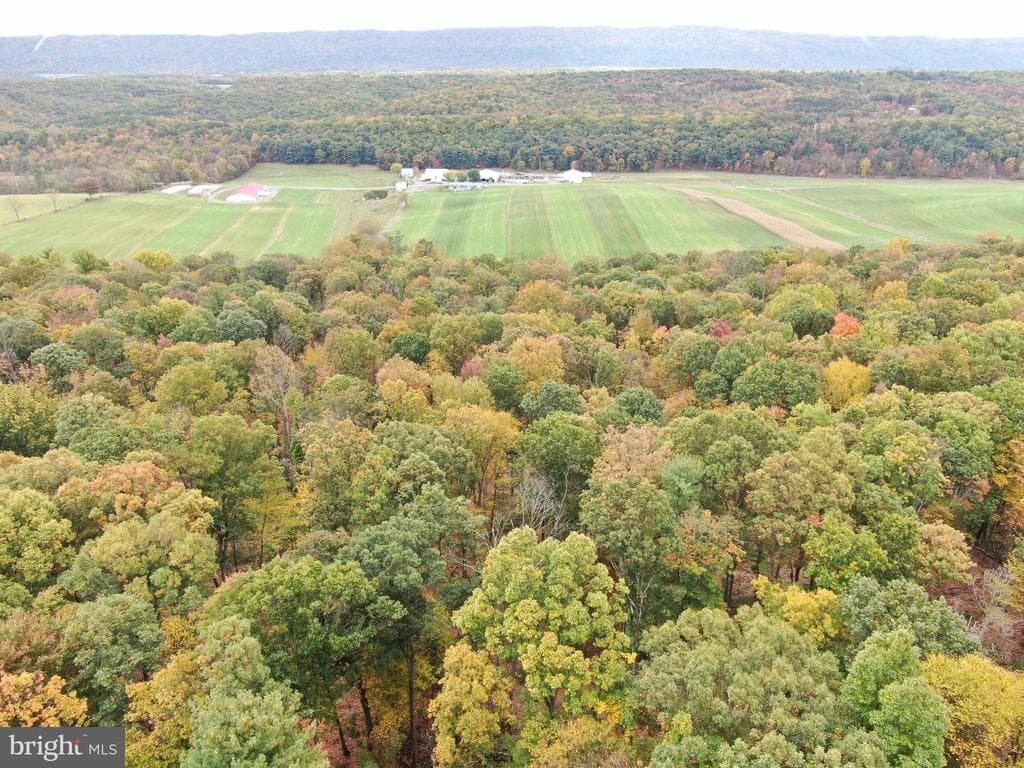 Property photo #30 for 234.5+/- Acres  across from 21951 Tannery Rd, Shade Gap, PA 17255