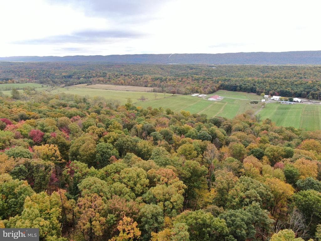 Property photo #31 for 234.5+/- Acres  across from 21951 Tannery Rd, Shade Gap, PA 17255