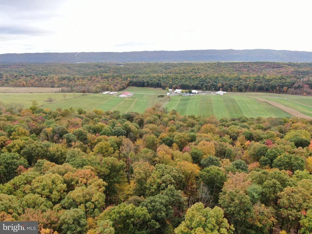 Property photo #32 for 234.5+/- Acres  across from 21951 Tannery Rd, Shade Gap, PA 17255