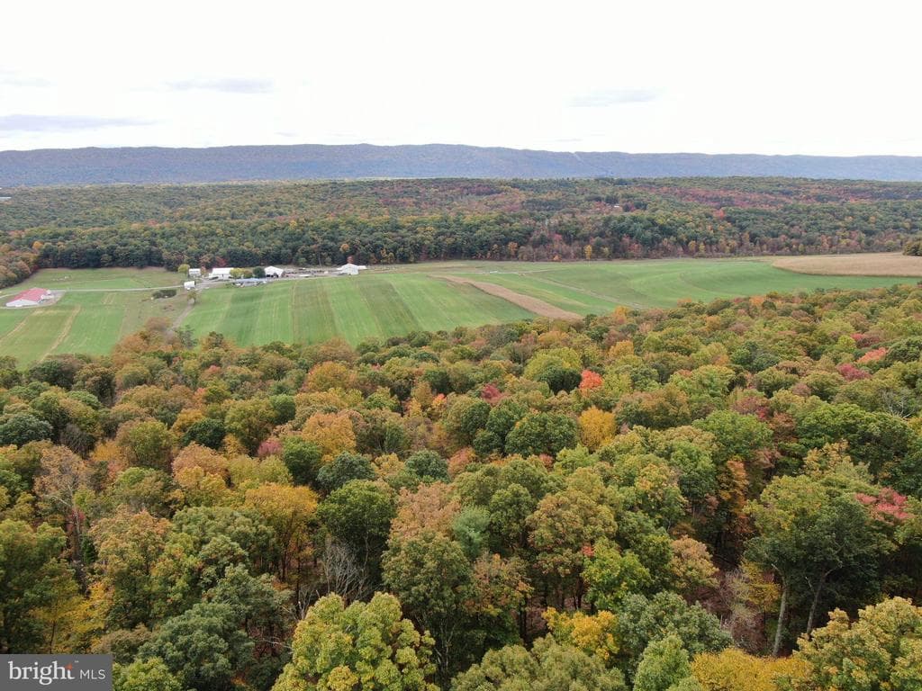 Property photo #33 for 234.5+/- Acres  across from 21951 Tannery Rd, Shade Gap, PA 17255