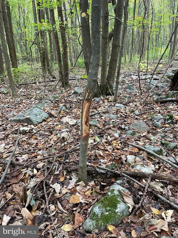 Property photo #44 for 234.5+/- Acres  across from 21951 Tannery Rd, Shade Gap, PA 17255