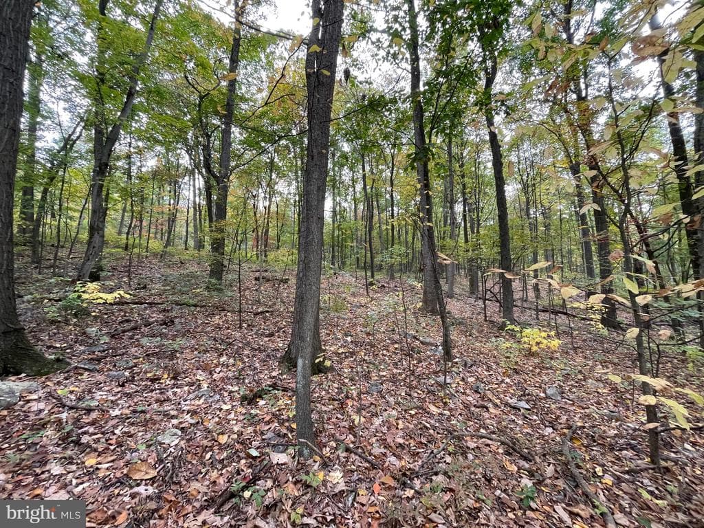 Property photo #48 for 234.5+/- Acres  across from 21951 Tannery Rd, Shade Gap, PA 17255