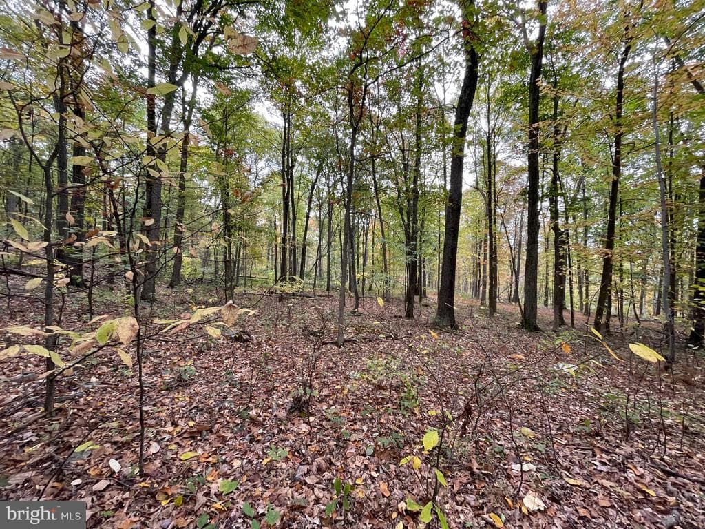 Property photo #49 for 234.5+/- Acres  across from 21951 Tannery Rd, Shade Gap, PA 17255