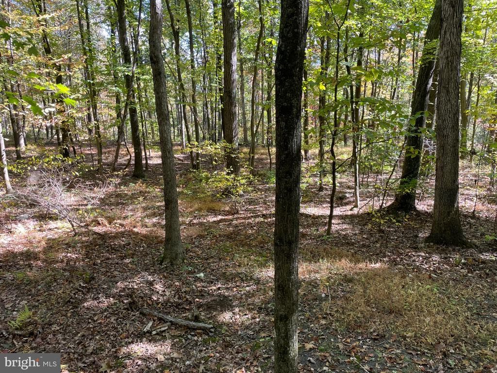 Property photo #5 for 234.5+/- Acres  across from 21951 Tannery Rd, Shade Gap, PA 17255