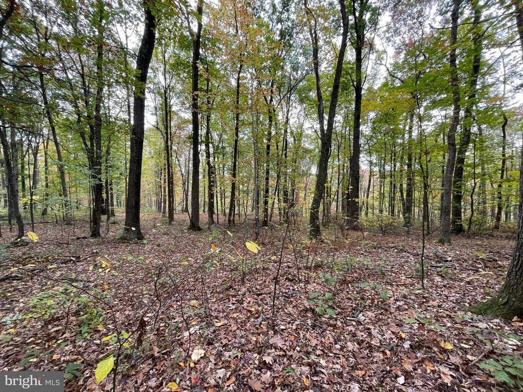 Property photo #50 for 234.5+/- Acres  across from 21951 Tannery Rd, Shade Gap, PA 17255