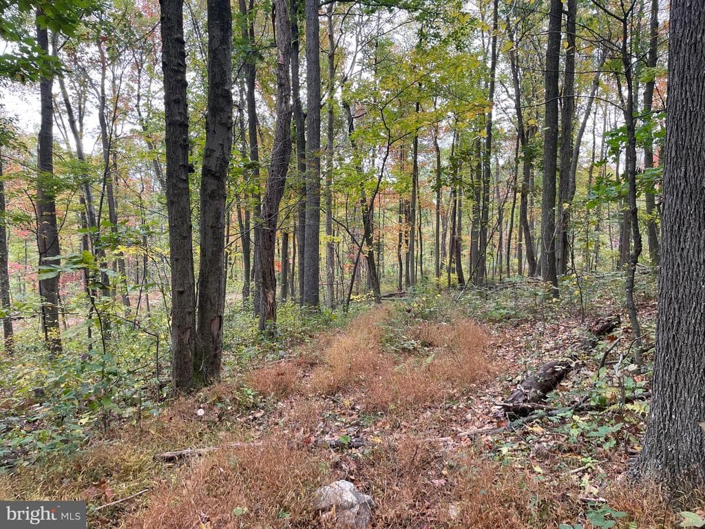 Property photo #51 for 234.5+/- Acres  across from 21951 Tannery Rd, Shade Gap, PA 17255