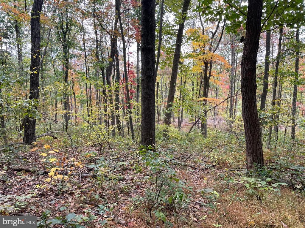 Property photo #52 for 234.5+/- Acres  across from 21951 Tannery Rd, Shade Gap, PA 17255