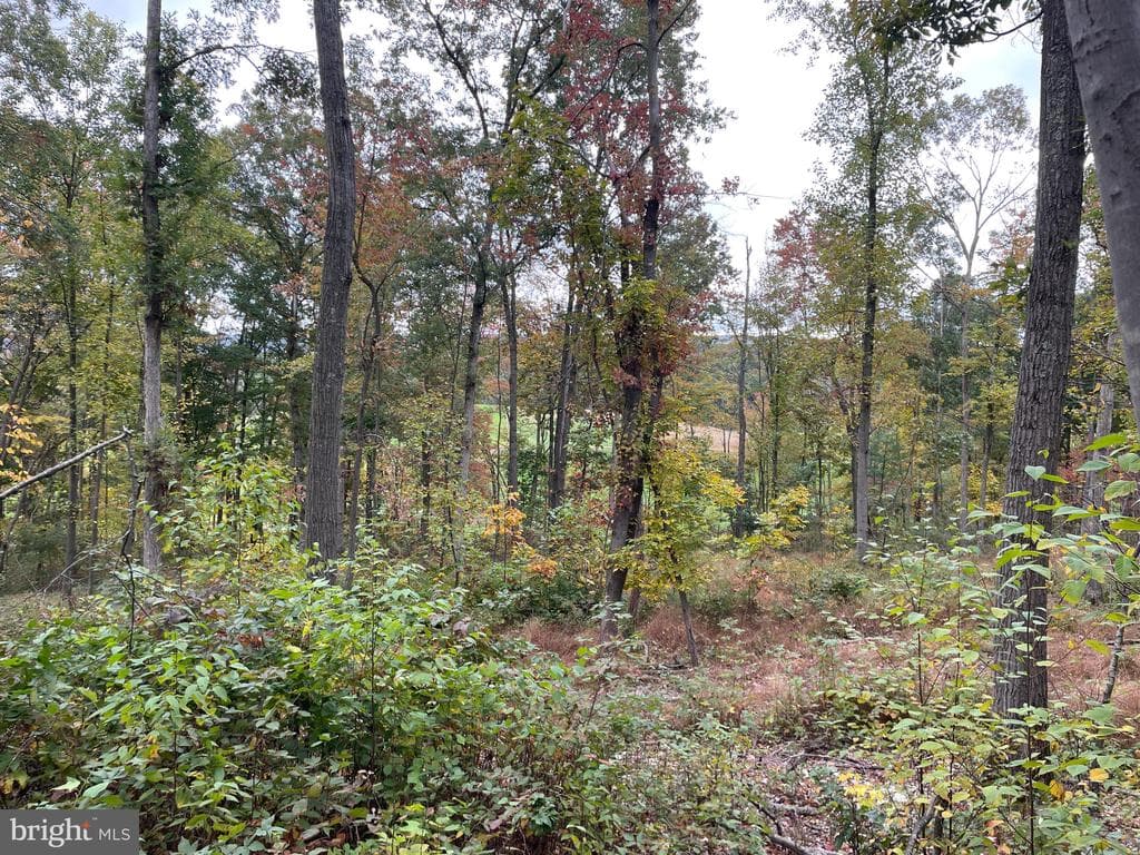 Property photo #53 for 234.5+/- Acres  across from 21951 Tannery Rd, Shade Gap, PA 17255