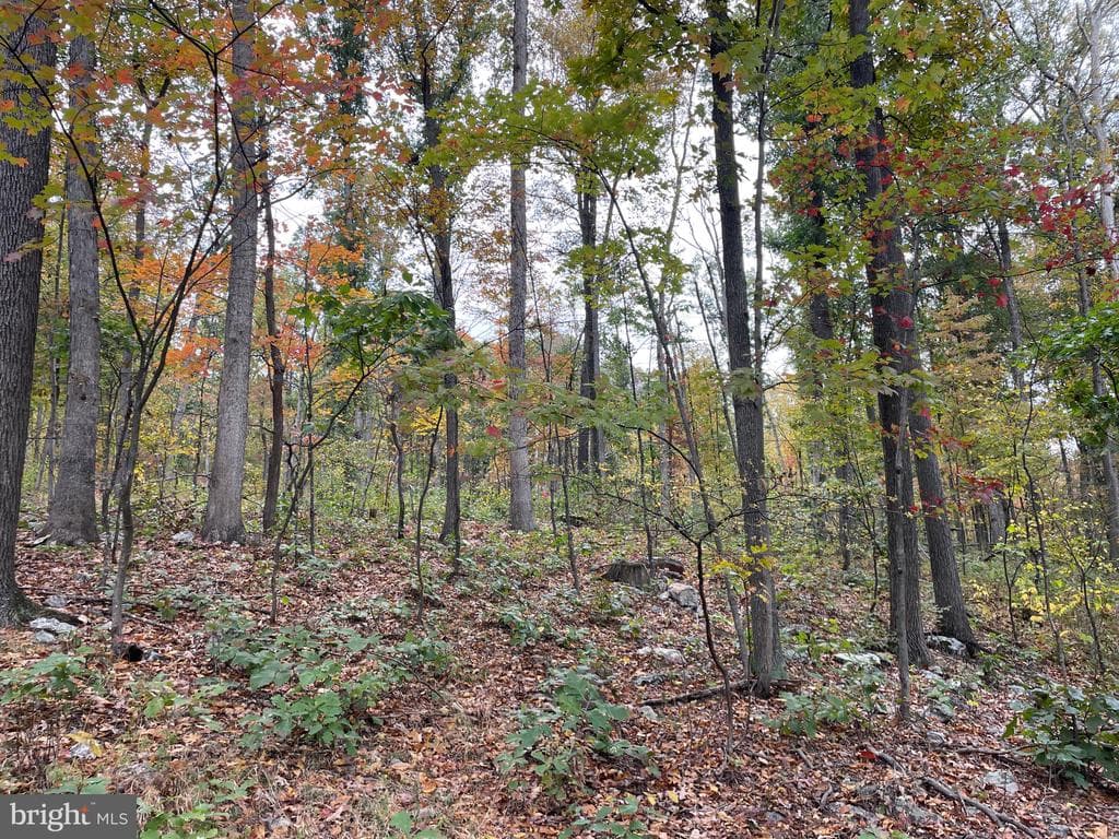 Property photo #57 for 234.5+/- Acres  across from 21951 Tannery Rd, Shade Gap, PA 17255