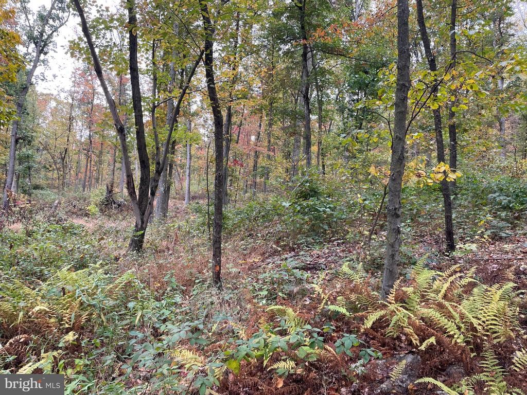 Property photo #58 for 234.5+/- Acres  across from 21951 Tannery Rd, Shade Gap, PA 17255