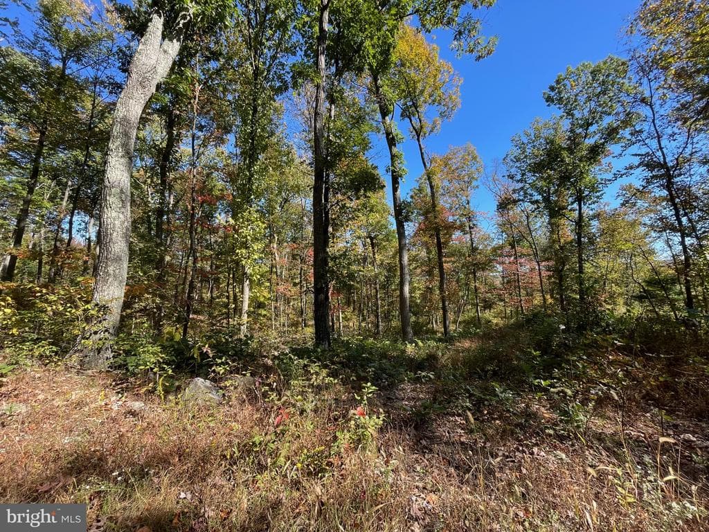 Property photo #8 for 234.5+/- Acres  across from 21951 Tannery Rd, Shade Gap, PA 17255