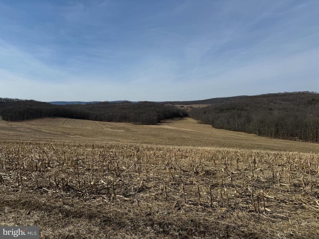 Property photo #31 for 190.33+/- Acres Miller Rd, Alum Bank, PA 15521