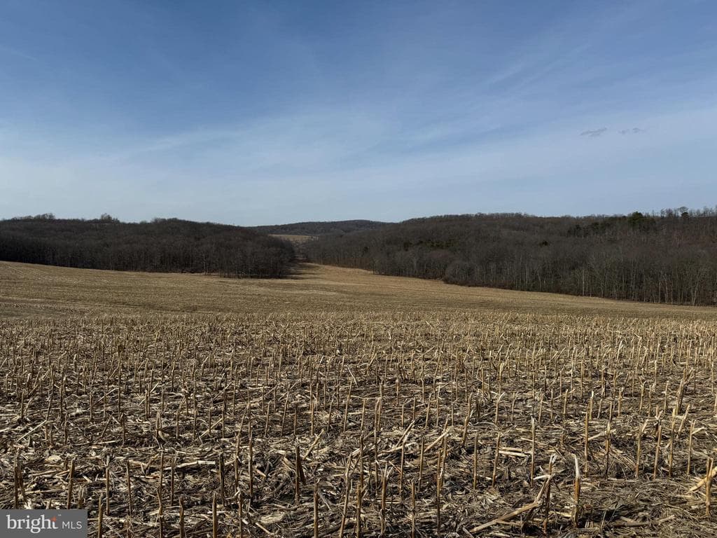 Property photo #36 for 190.33+/- Acres Miller Rd, Alum Bank, PA 15521