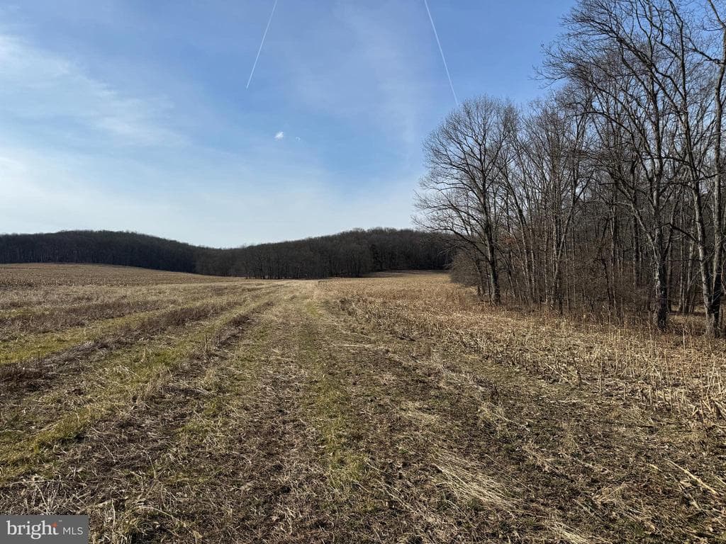 Property photo #38 for 190.33+/- Acres Miller Rd, Alum Bank, PA 15521