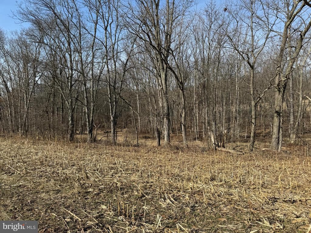 Property photo #39 for 190.33+/- Acres Miller Rd, Alum Bank, PA 15521