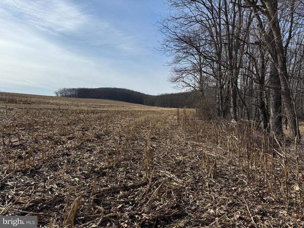 Property photo #40 for 190.33+/- Acres Miller Rd, Alum Bank, PA 15521