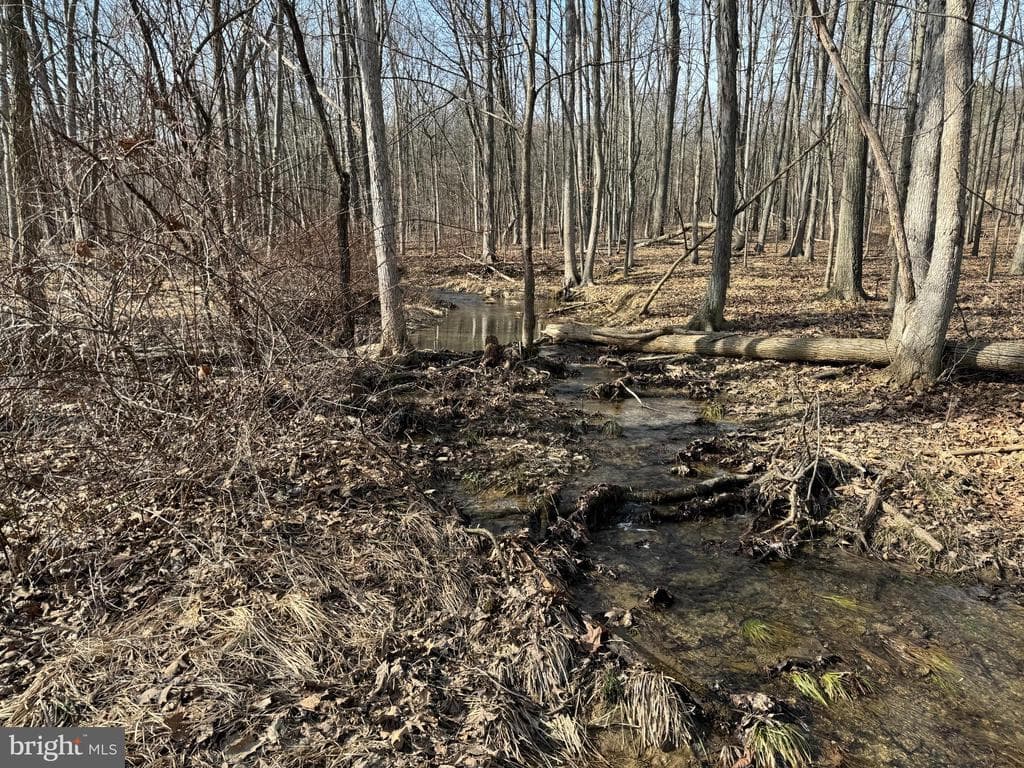 Property photo #44 for 190.33+/- Acres Miller Rd, Alum Bank, PA 15521