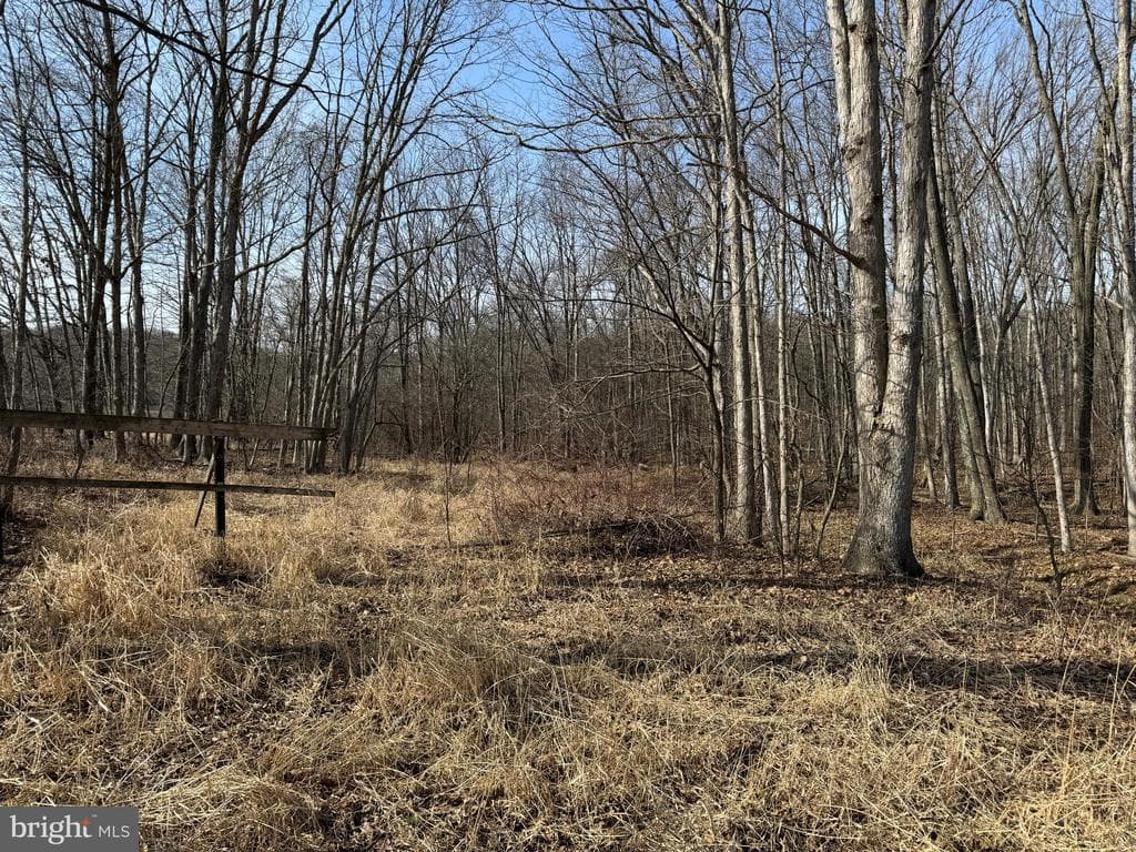 Property photo #46 for 190.33+/- Acres Miller Rd, Alum Bank, PA 15521