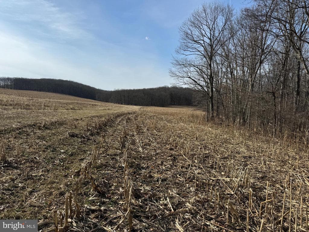 Property photo #47 for 190.33+/- Acres Miller Rd, Alum Bank, PA 15521