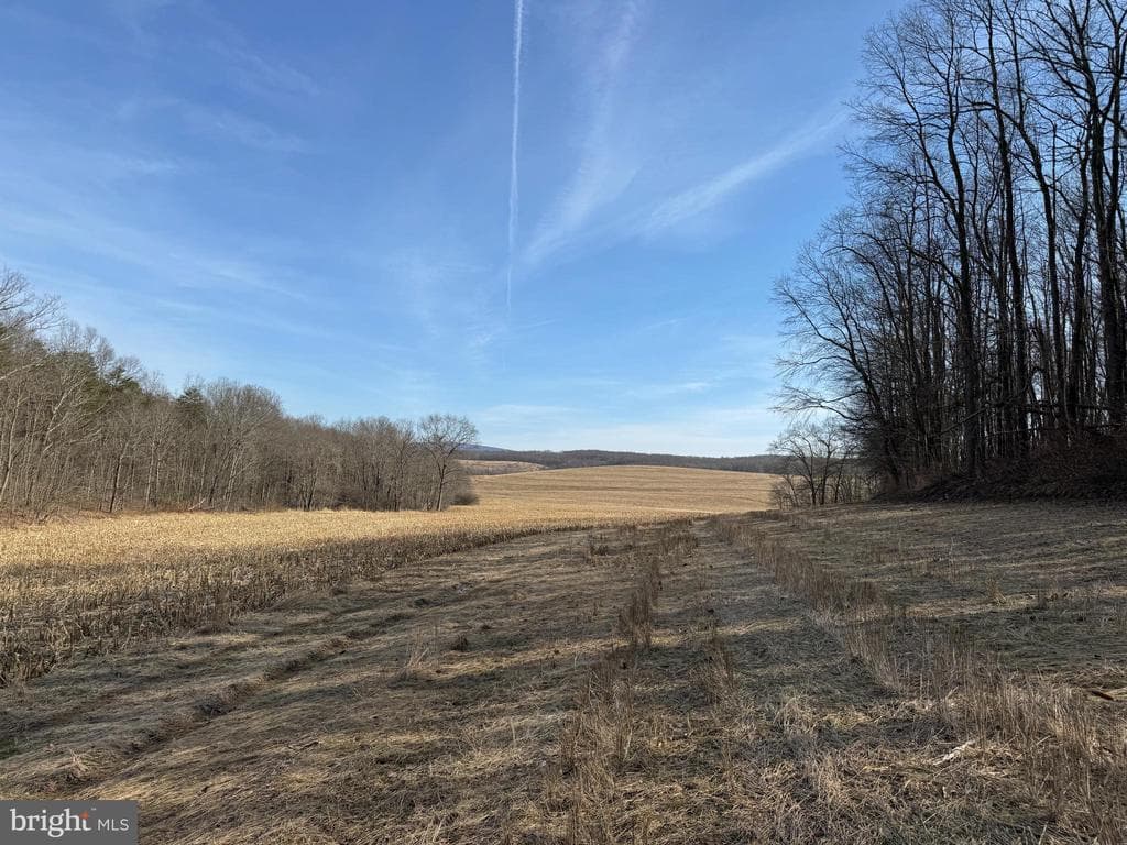 Property photo #49 for 190.33+/- Acres Miller Rd, Alum Bank, PA 15521