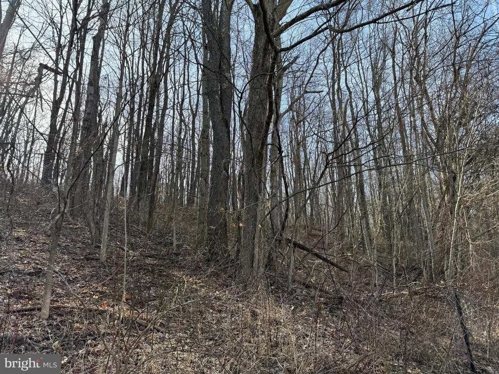 Property photo #50 for 190.33+/- Acres Miller Rd, Alum Bank, PA 15521