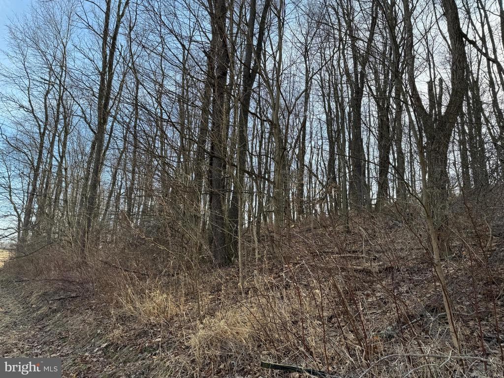 Property photo #51 for 190.33+/- Acres Miller Rd, Alum Bank, PA 15521