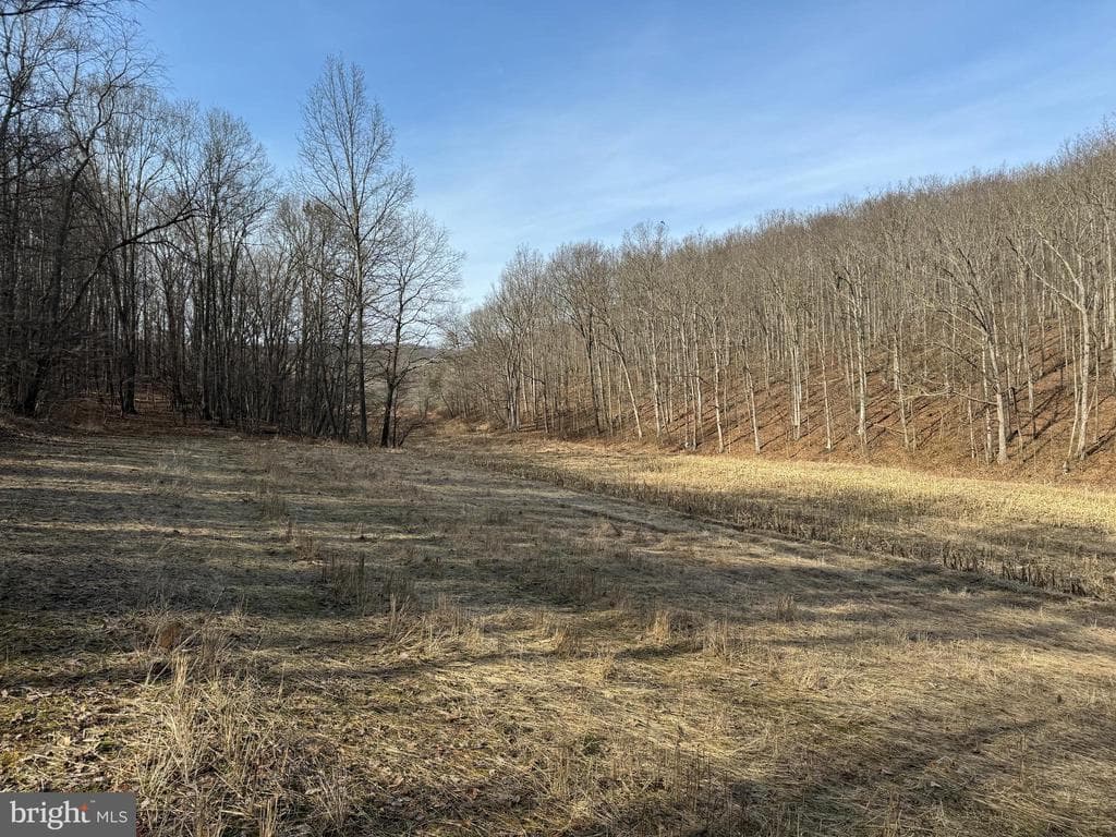 Property photo #52 for 190.33+/- Acres Miller Rd, Alum Bank, PA 15521