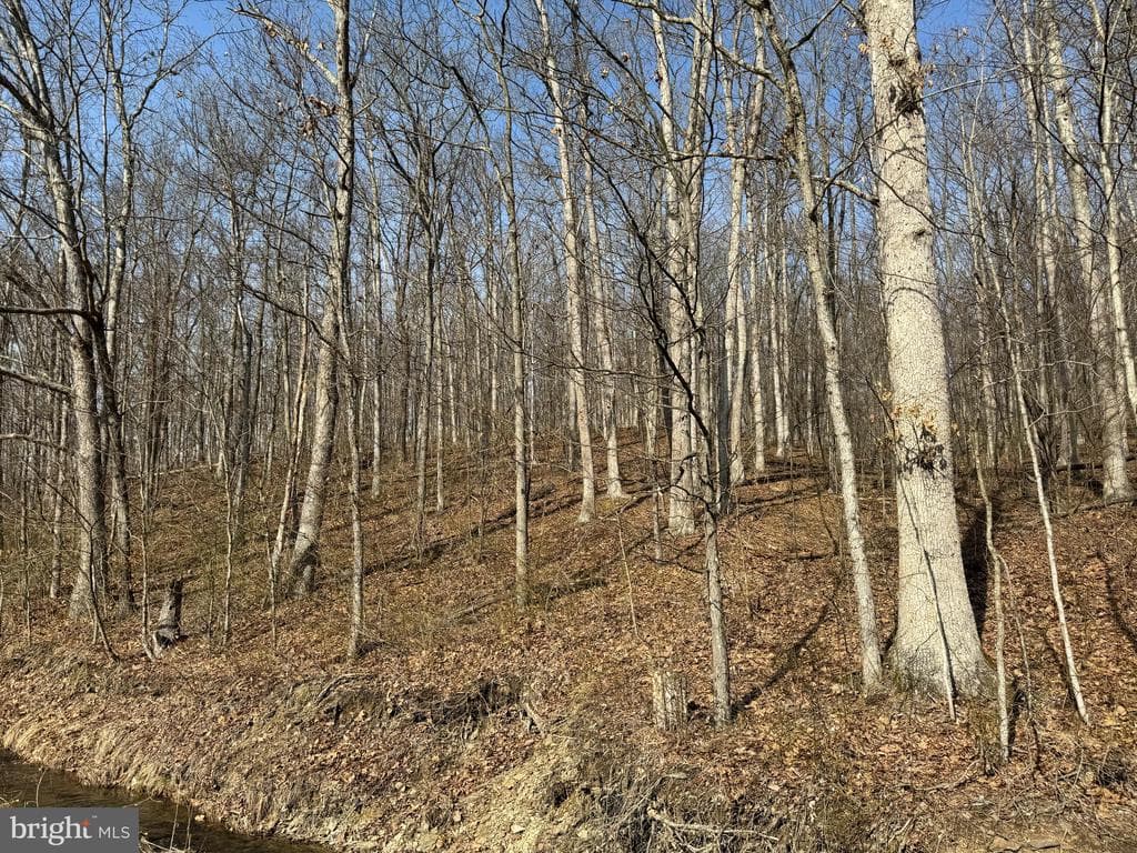 Property photo #54 for 190.33+/- Acres Miller Rd, Alum Bank, PA 15521