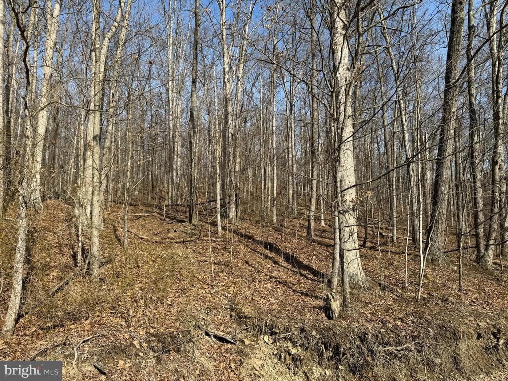 Property photo #58 for 190.33+/- Acres Miller Rd, Alum Bank, PA 15521