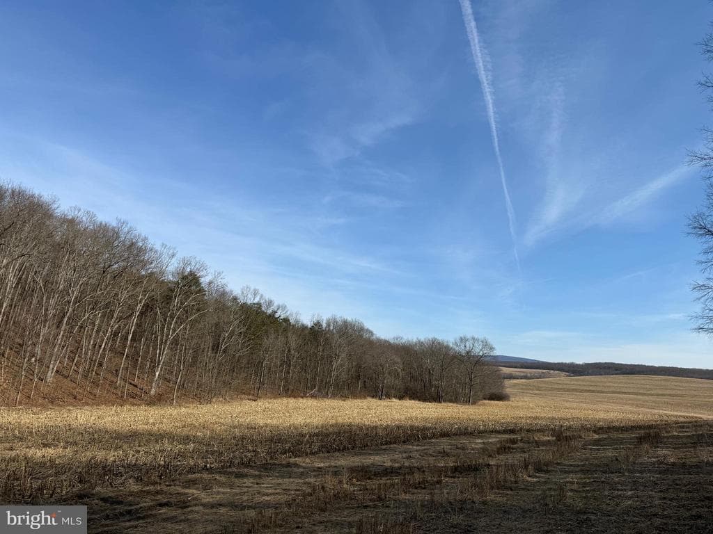 Property photo #60 for 190.33+/- Acres Miller Rd, Alum Bank, PA 15521