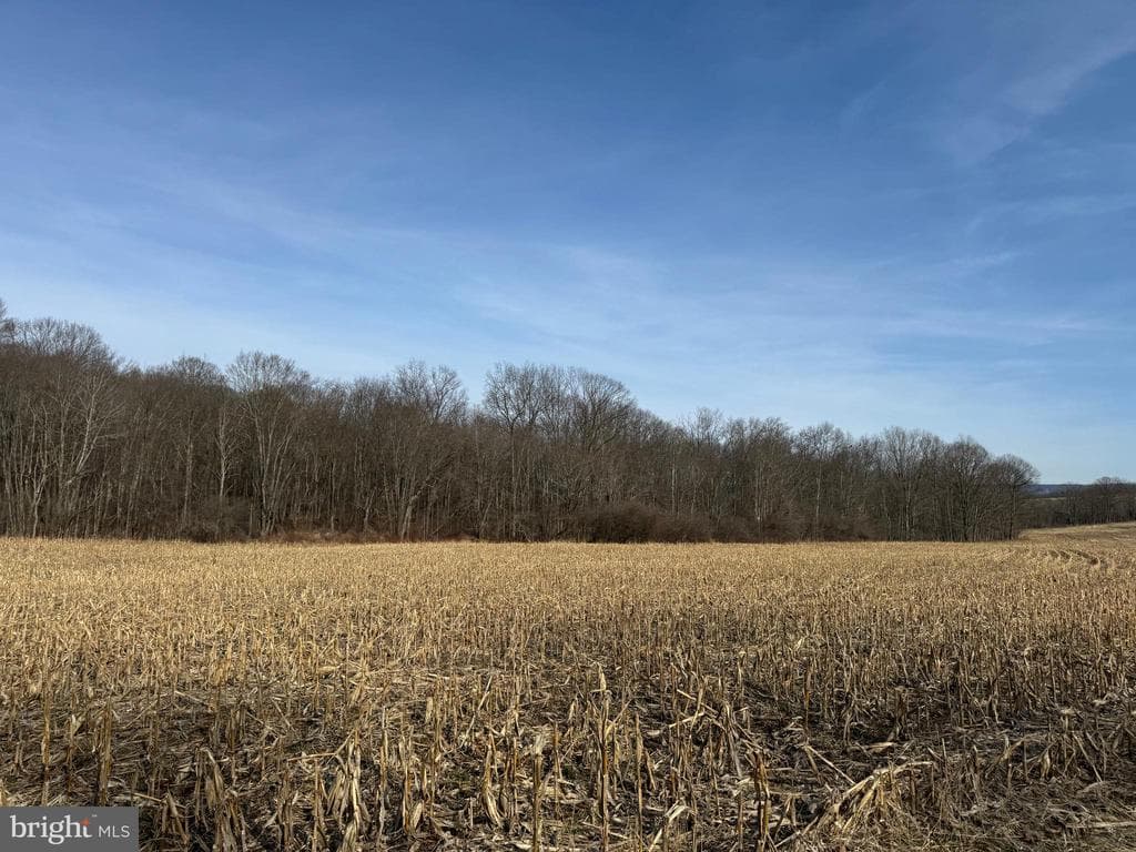 Property photo #63 for 190.33+/- Acres Miller Rd, Alum Bank, PA 15521