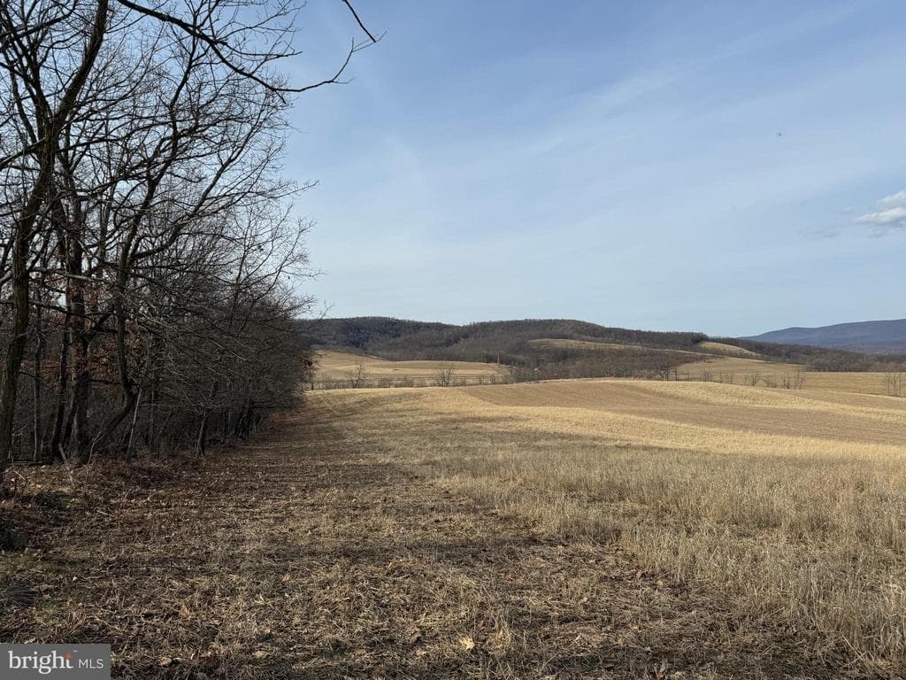 Property photo #78 for 190.33+/- Acres Miller Rd, Alum Bank, PA 15521