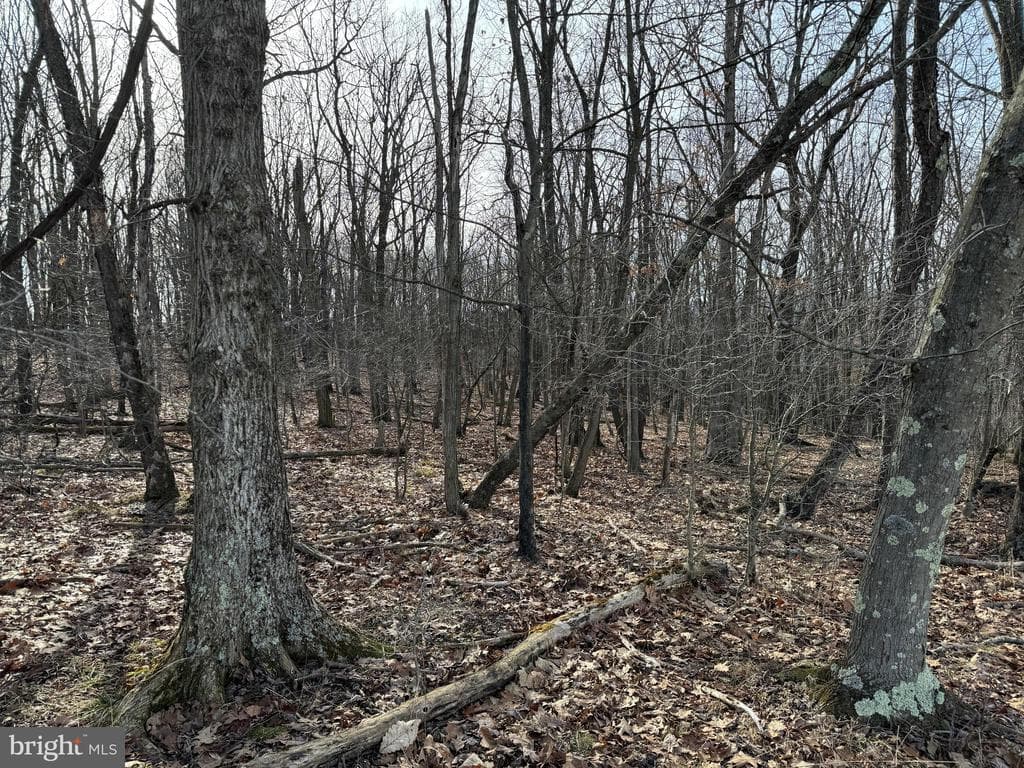 Property photo #81 for 190.33+/- Acres Miller Rd, Alum Bank, PA 15521