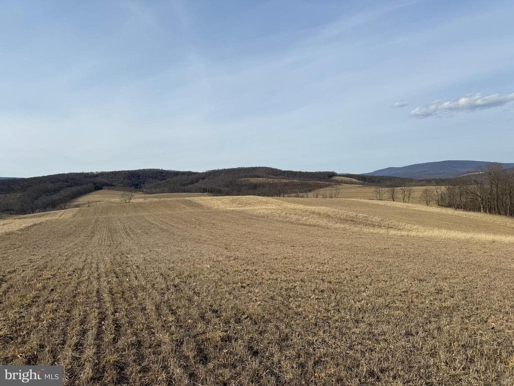 Property photo #82 for 190.33+/- Acres Miller Rd, Alum Bank, PA 15521