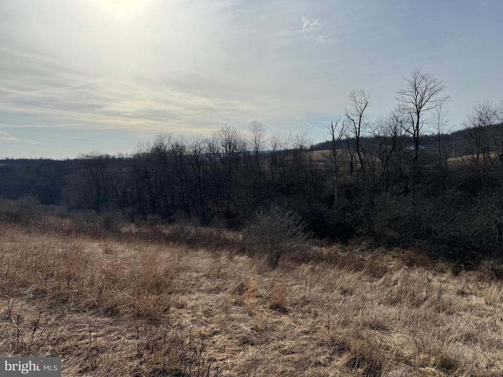 Property photo #87 for 190.33+/- Acres Miller Rd, Alum Bank, PA 15521