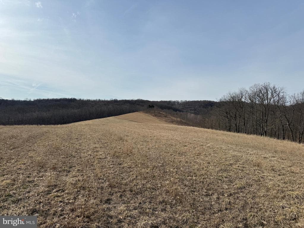 Property photo #88 for 190.33+/- Acres Miller Rd, Alum Bank, PA 15521