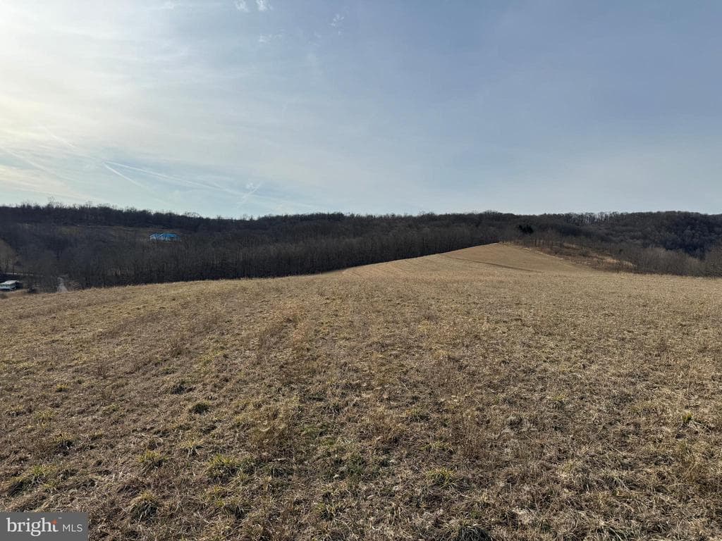 Property photo #93 for 190.33+/- Acres Miller Rd, Alum Bank, PA 15521